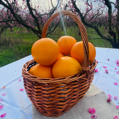 Naranja De Mesa