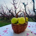 Manzana Golden