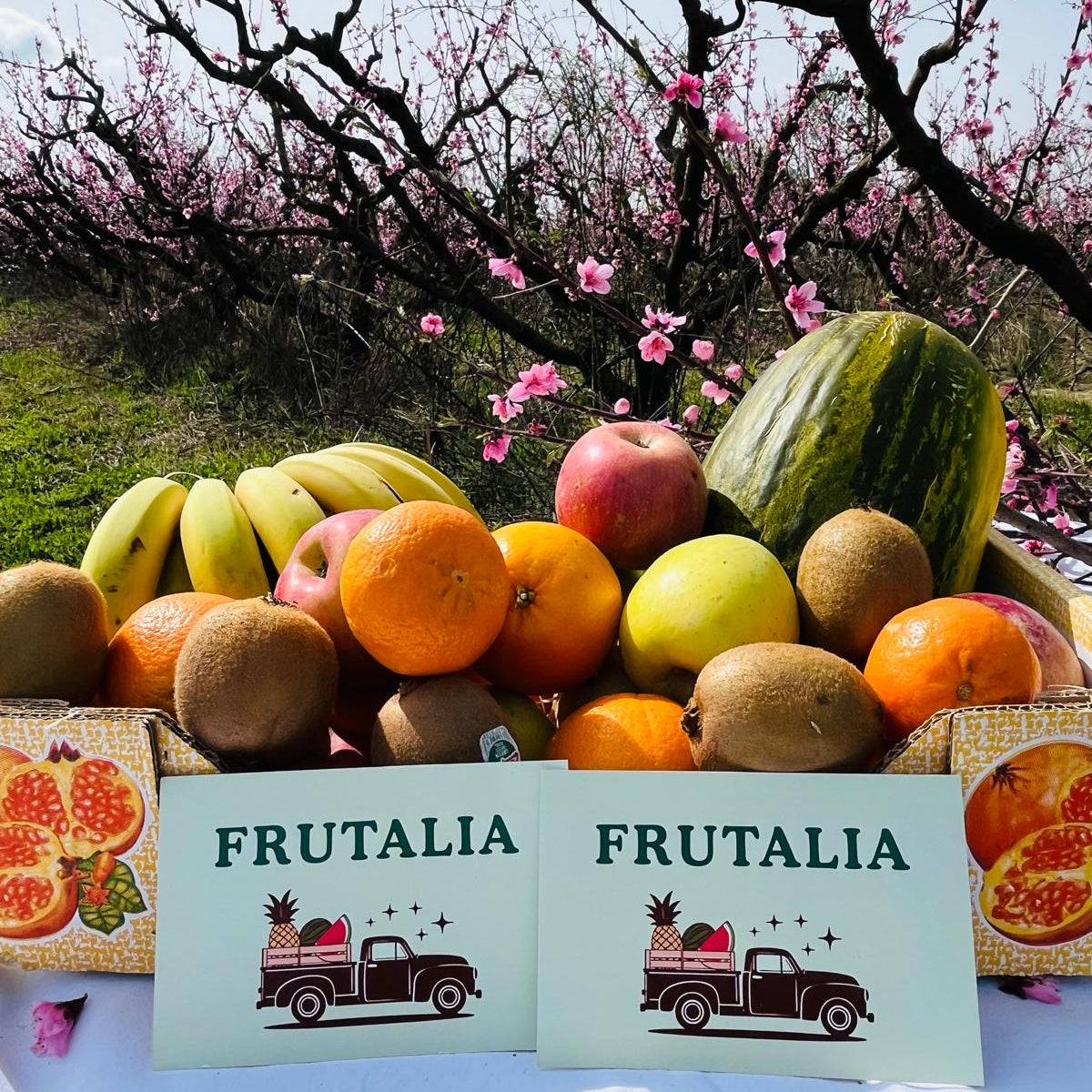 Cesta Fruta De Temporada + Melón