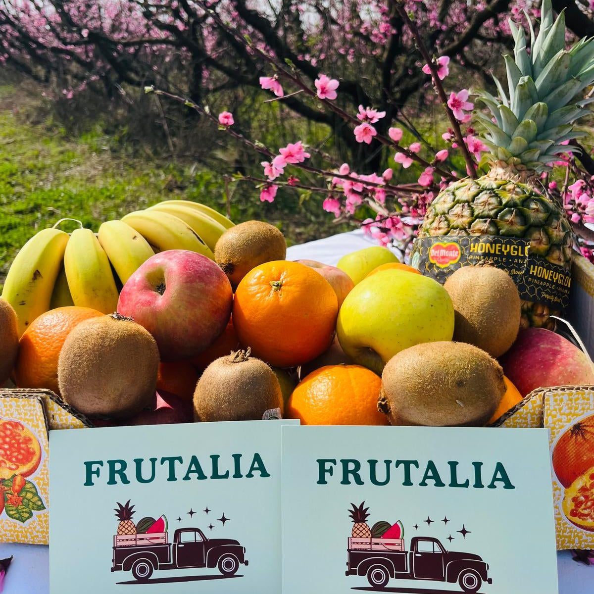 Cesta Fruta De Temporada + Piña