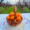 Mandarina