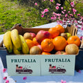 Cesta Fruta Temporada