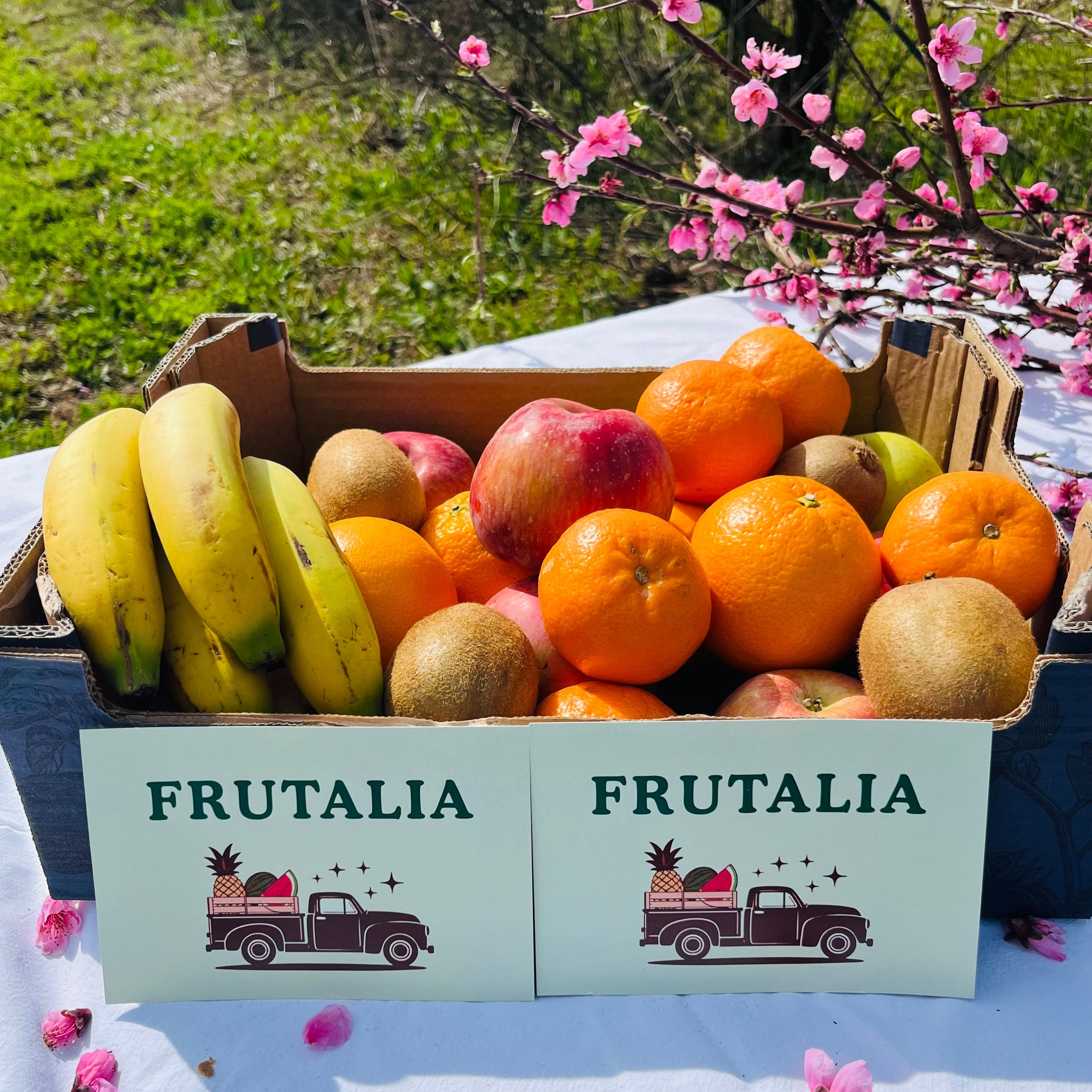 Cesta Fruta Temporada
