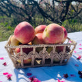 Manzana Fuji