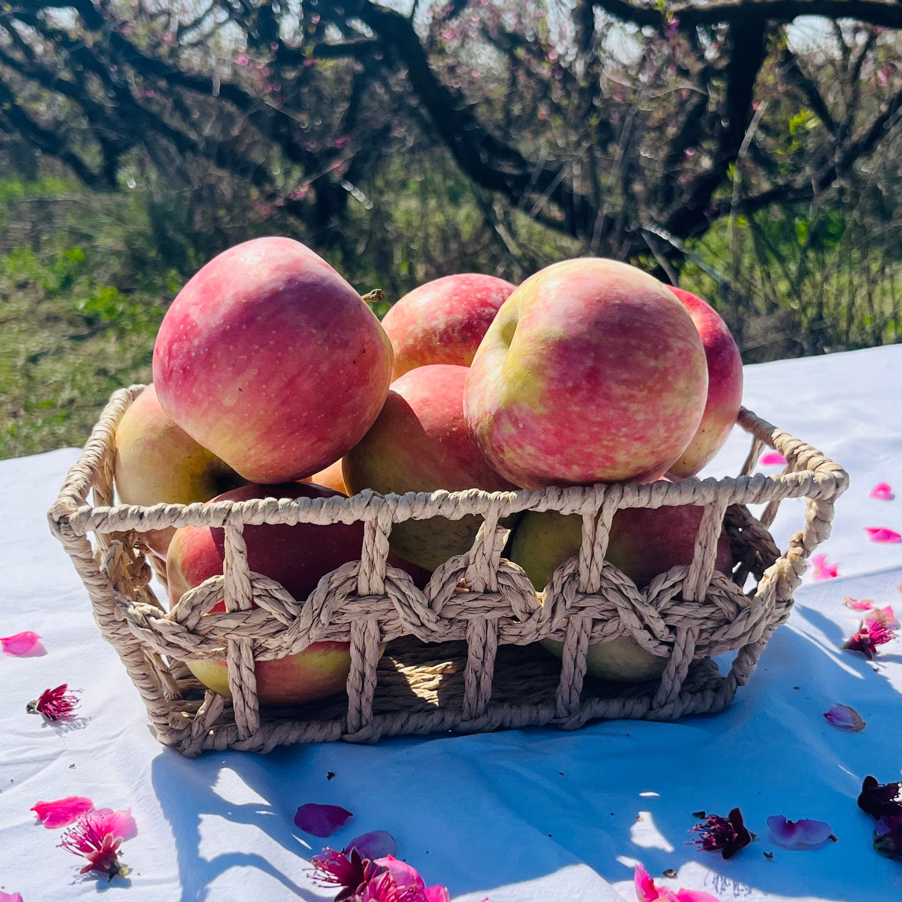 Manzana Fuji