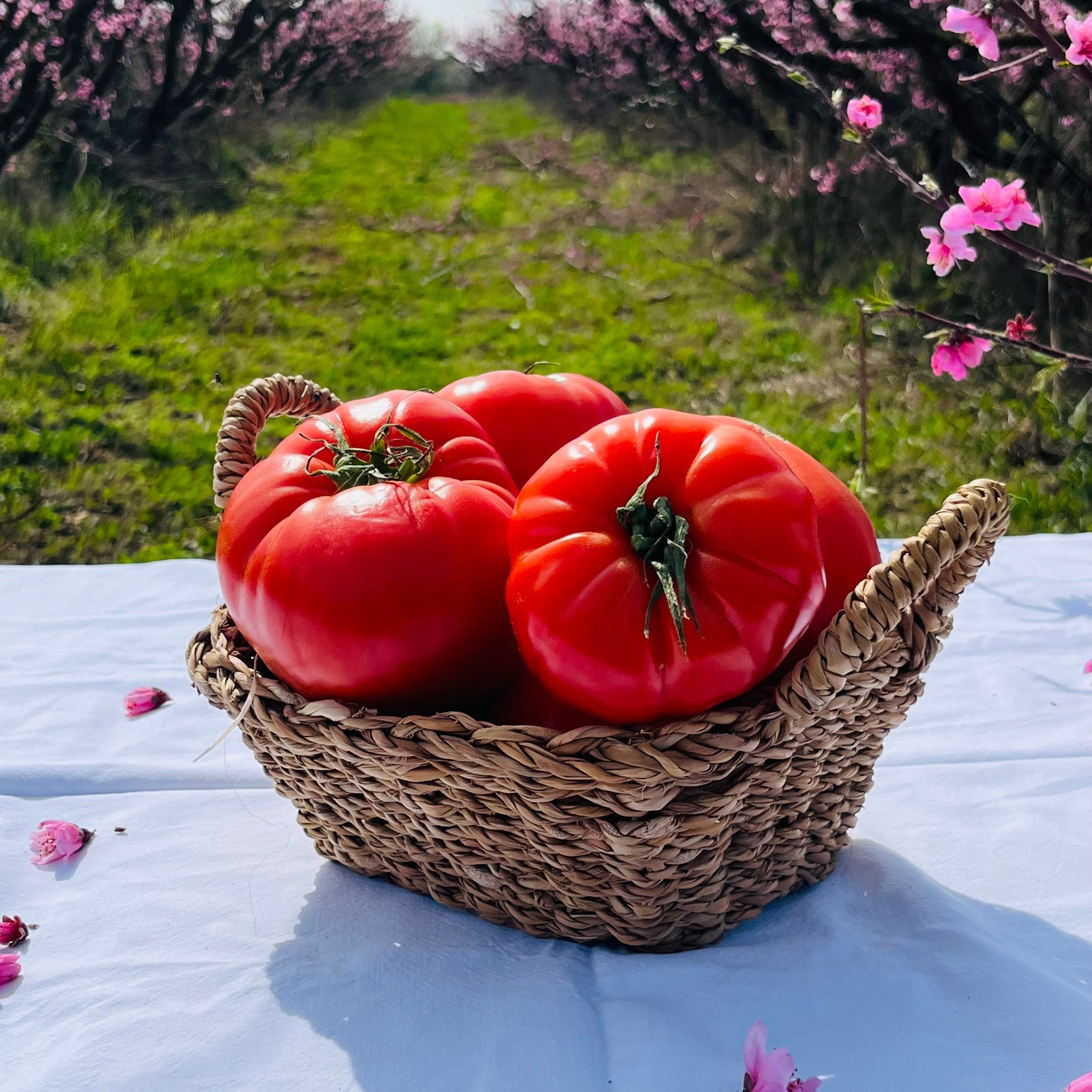 Tomate Huevo De Toro