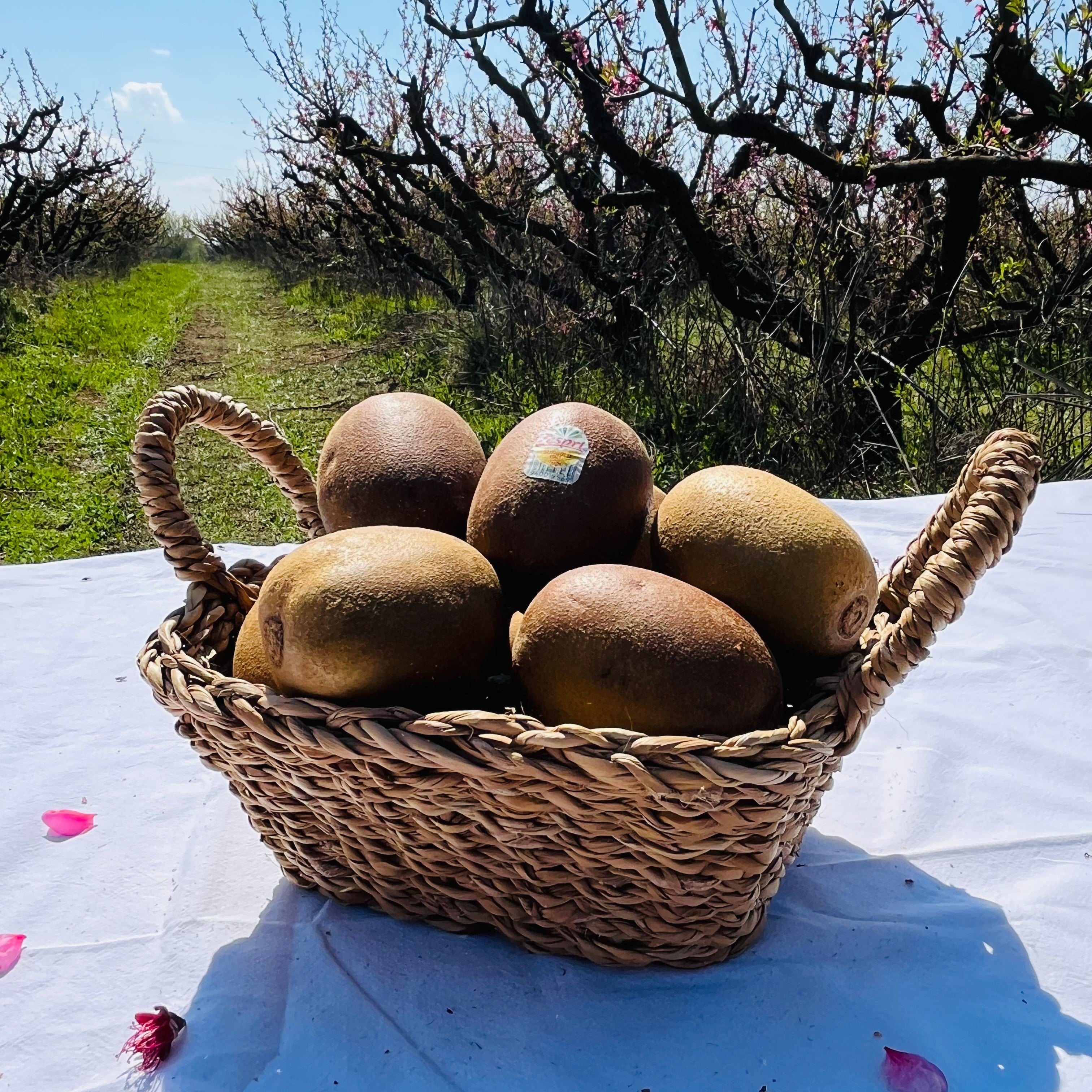 Kiwi Amarillo
