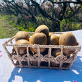 Kiwi Verde