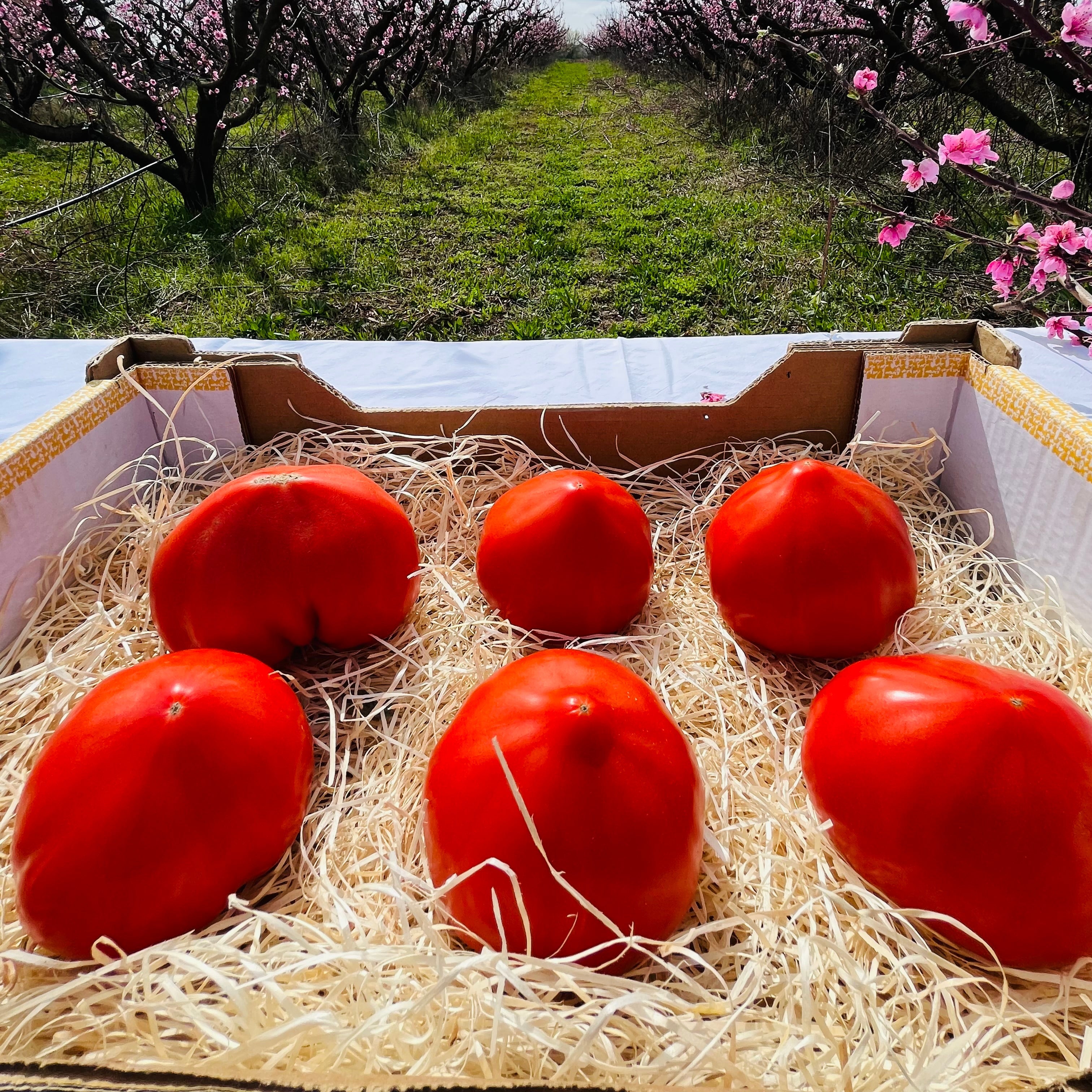Cesta De Tomate Huevo De Toro