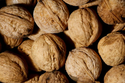 Nueces