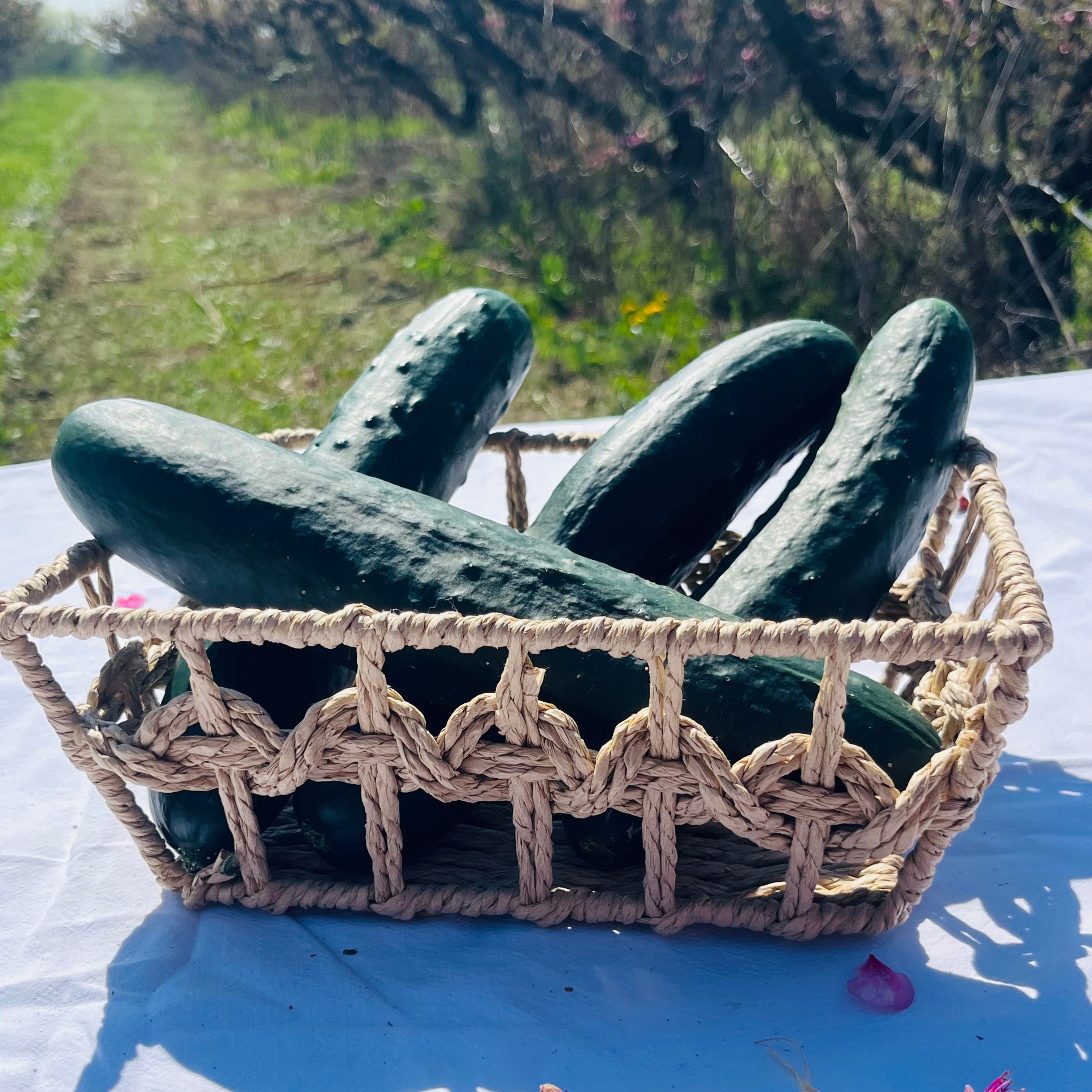 Pepino